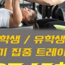 신월로L 이미지