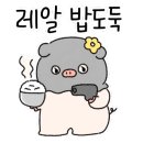 잠실고박사 이미지