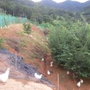 화진농장 이미지