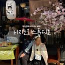 니지모리스튜디오 애견동반 이용후기 (+쇼죠마츠리 봄축제진행!)