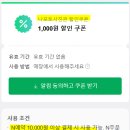 나포토 이미지