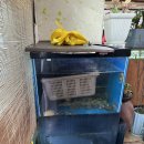 수목원맛쌈밥 이미지