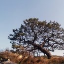 학리 이미지