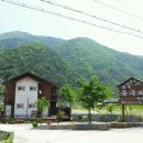 들국화 펜션 이미지