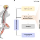 강남외과의원 이미지