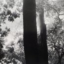 오대한의원 이미지