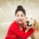 OK동물병원 네이버블로그