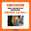 목동찬동물의료센터 | [목동동물병원, 목동찬동물의료센터] 강아지 잠복고환...오목교동물병원, 양천구동물병원, 강서구동물병원