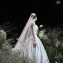 11545-03-35-14 | [베뉴투어 #7] 그랜드 하얏트 서울 그랜드볼룸 웨딩 상담 후기 (계약 X, 견적 O)