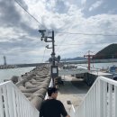 스카이한우곰탕 | 부산 맛집 한우곰탕 이레옥 그리고 해운대 스카이 캡슐과 해변 열차 후기 (+나의 일상)