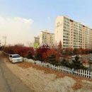 고봉로658번길 이미지