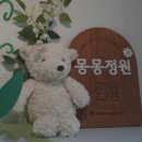 몽몽하나 | 원주애견카페 몽몽정원 | 넓은 원주야외잔디운동장에서 뛰어놀기 좋은 애견동반카페