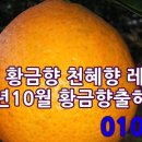 춘향루 이미지