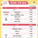 무장전통시장 | 진해 군항제 벚꽃 축제 평일 방문후기 _ 주차, 먹거리, 체험부스 정보!