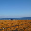 미래목장 이미지