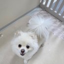 늘봄아로마테라피 이미지