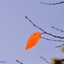 남산로L 이미지