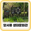 청주서원도서관 | 청주 양서류(두꺼비, 맹꽁이) 생태문화관 후기