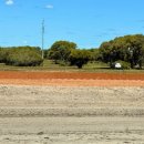 Flametree_ 이미지