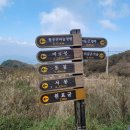 팔공산 하늘정원 이미지