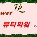 대전주주여행사