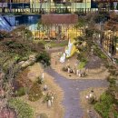 (주) 통나무집닭갈비 이미지