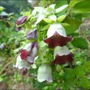 송강농장 이미지