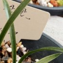 평동1로 이미지