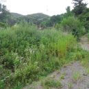 효촌2리 마을회관 이미지