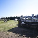 수천목장 이미지