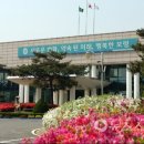 보령농축산물센터 티스토리