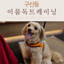 이룸독트레이닝 이미지