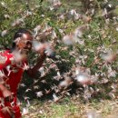 지지농장 이미지