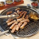 더고집 이미지