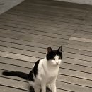 몽돌스테이 이미지