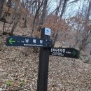 조선곰탕 | 100대 명산 계룡산