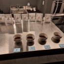 아마티보 코리아(Amativo Korea) 콜라보커핑 후기(with discovercoffee.co)