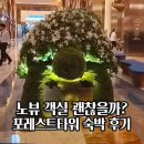 일리룸(ILLY ROOM) | 인스파이어 리조트 숙박 포레스트 타워 노뷰 객실 솔직 후기