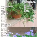 용인에김옥춘인터넷시집67집 이미지