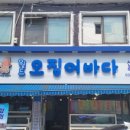월드오징어바다 - 수원시 영통구 반달로35번길 21 | 월드오징어바다