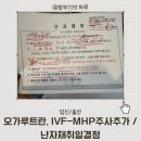 엠에이솔루션 | 시험관 세 번째 방문 : 난포 덜 자람 주사추가/ 네 번째 방문 : 초음파검사, 오비드렐, 데카펩틸, 난자...