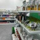 정든맘 | 생필품 득템 제주 공동구매 스토어 다이클로 노형정든마을주공점