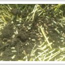 형제2농장 이미지