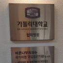 뉴라이프의원 | 인공치아만들어주는 임플란트 수술 발치부터 수술까지 진행과정 &amp; 후기 - 바른이웃치과