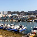 장림포구 이미지