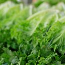 스마트팜 이미지