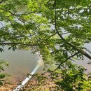 산정소류지 이미지