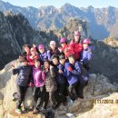 배꼽친구 이미지