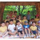 우면생태놀이터 이미지