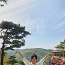 금강사 Daum카페